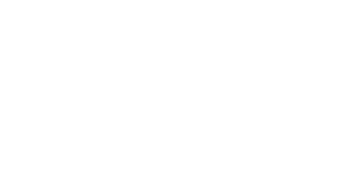 zedy